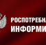 День открытых дверей для предпринимателей». - Администрация Грибановского района